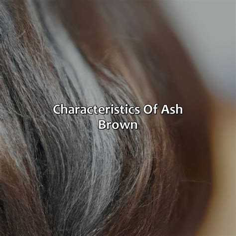 What Color Is Ash Brown - colorscombo.com