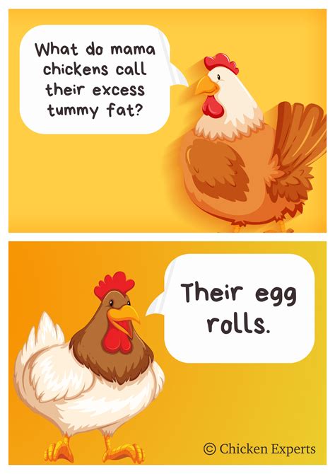 Funny Chicken Jokes