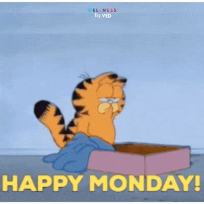 100+ Motivational Happy Monday Images, Blessings & GIFs! - Wellness by Ved