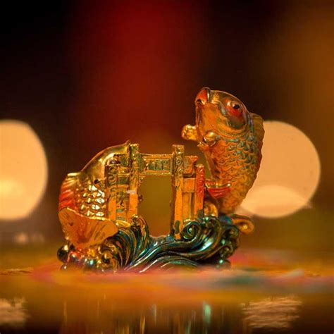 Buy Feng Shui Two Arowana Fish Online in India - Mypoojabox.in