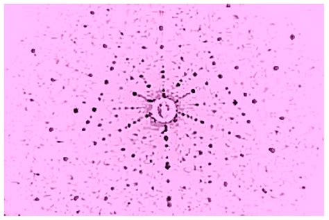 Contemporary Apparatus for Single Crystals Growth of Oxide Compounds ...