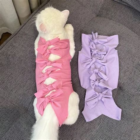 Traje para esterilización y castración de gatos, ropa de recuperación ...