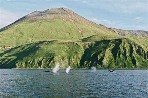 Aleutian Islands in Alaska | Travel Alaska
