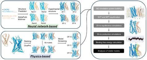 Dynamic Dimerization of Chemokine Receptors and Potential Inhibitory ...
