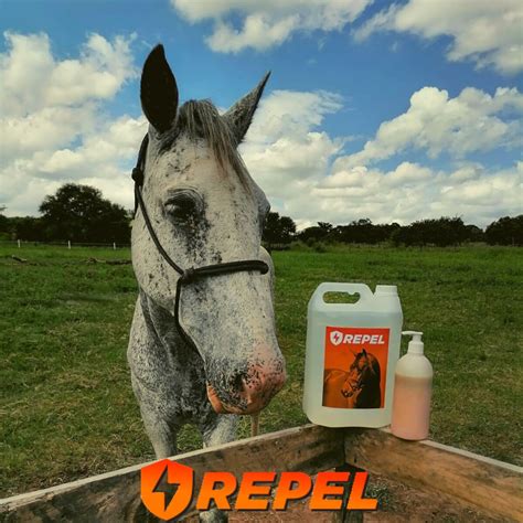 REPEL Fly repellent balm – 500ml – Work Horse Tack