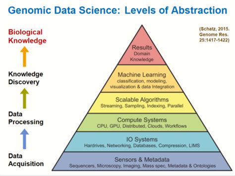 Image result for Bioinformatics Terminologies