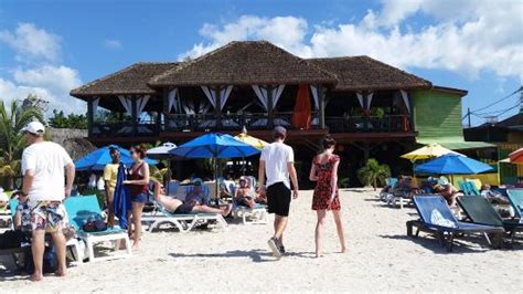 Juta Tours Taxi Driver (Lucea) - 2022 What to Know Before You Go (with ...