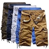 Men's Cargo Shorts Shorts Hiking Shorts Pocket Plain Comfort Wearable ...