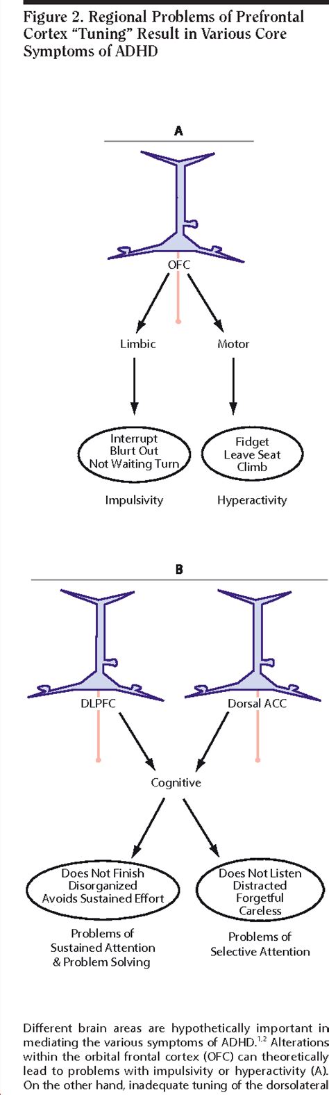 Image result for ADHD Prefrontal Cortex