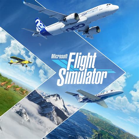 Flight Simulation 的图像结果