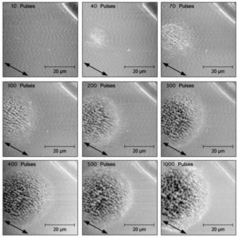 Dynamics and Processes on Laser-Irradiated Surfaces