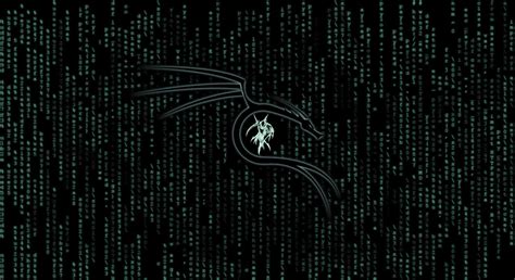 Image result for Kali Linux Background HD