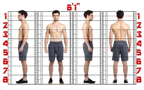 What Is A Models Average Height at Isabel Spiegel blog
