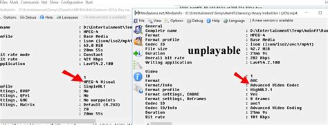 Image result for AVC Video Explicative