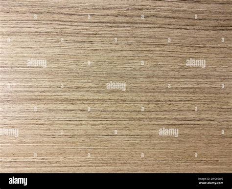 Light-colored laminate floor with a smooth finish, perfect for ...