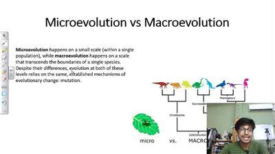 Image result for How Tmacroevolution