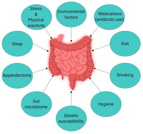 What Causes Inflammatory Bowel Disease In Dogs