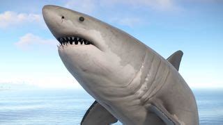 Image result for The Shark Rust Game
