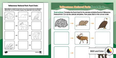 U.S. National Parks | List, History, and Facts | Twinkl USA