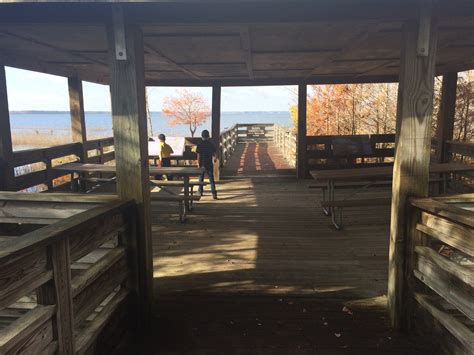 A Visit To Lake Waccamaw State Park