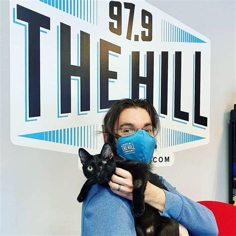 Adopt-A-Pet: Harlow from Cat Tales Cat Cafe - Chapelboro.com