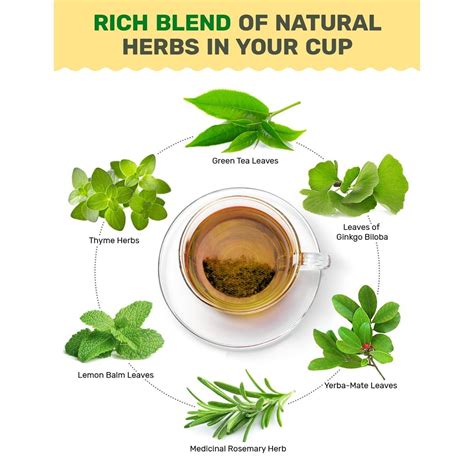 Oregano tea – Artofit