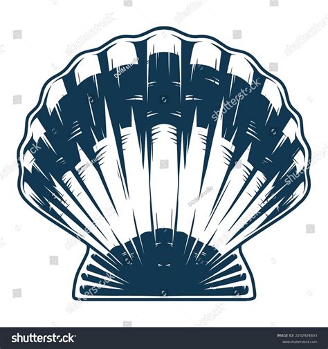 3,886 Sea shells badge 图片、库存照片和矢量图 | Shutterstock