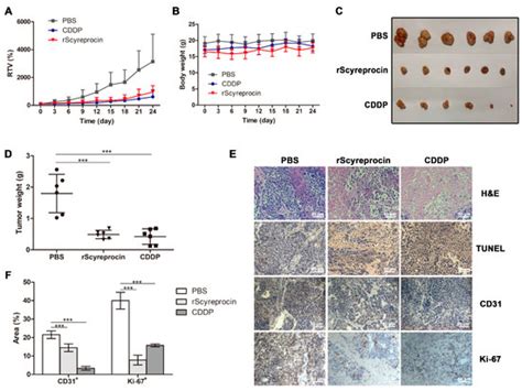 The Anticancer Activity Conferred by the Mud Crab Antimicrobial Peptide ...