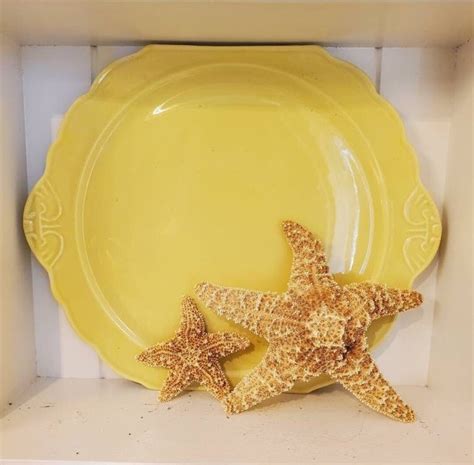 Art Deco Pottery Plate Made by Medalta Pottery Medicine Hat - Etsy Canada