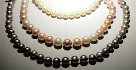 Image result for Chatbot for Simple D Questions Using Deep Learning