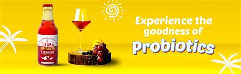 Tribe Kombucha Naturally Sparkling Probiotic Herbal Tea | Secret ...