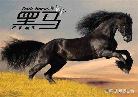 黑马程序员武汉中心标杆人物候选人-姜志成_腾讯视频