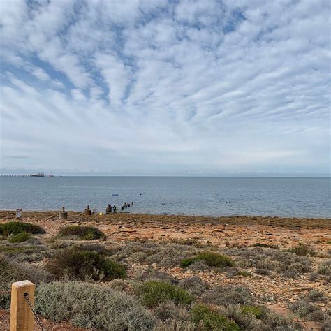 CUTTLEFISH BOARDWALK (2026) All You Need to Know BEFORE You Go (with ...