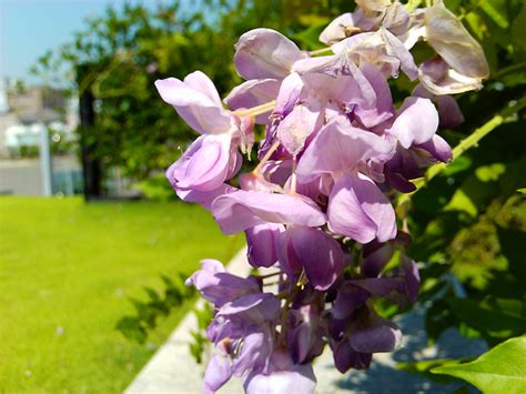 Acer Liquid E 搭載2.1版+RAM升級小改款 - Mobile01