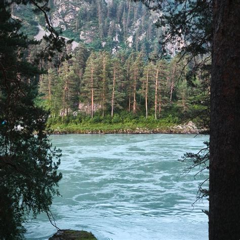 TSARSKAYA OKHOTA (Barangol) - Tourist Base Reviews & Photos - Tripadvisor