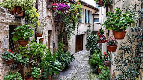 Wallpaper street, road, houses, flowers hd, picture, image