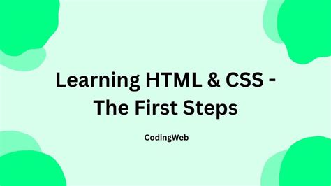HTML CSS Beginner 的图像结果
