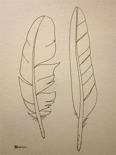 Easy Feather Drawings