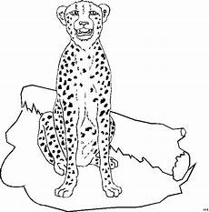 ausmalbilder tiere leopard leopard ausmalbild malvorlage tiere ausmalbilder tiere leopard leopard ausmalbild malvorlage tiere
