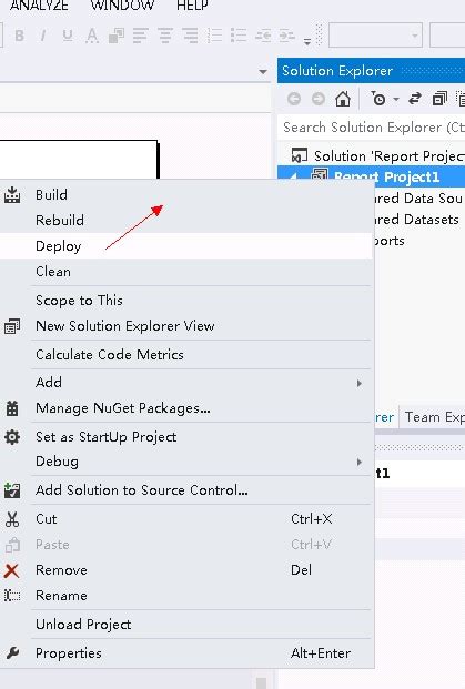 Image result for Visual Studio 2010 Reporting Tutorial