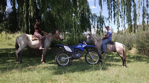UNION HOUSE GUEST FARM (Fouriesburg, South Africa - Free State ...