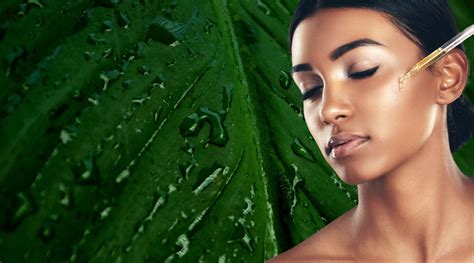 Retinol For Fresh & Plump Looking Skin – Panash Wellness