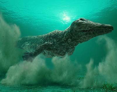 Ambulocetus | Maker Scratchpad YouTube Wiki | Fandom