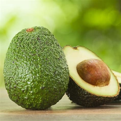 Avocado Tree Yellow Leaves 的图像结果