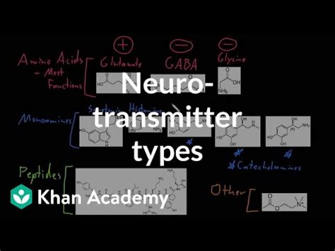 Types of neurotransmitters Video Lecture - Biology for MCAT