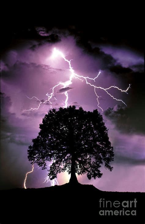 Lightning Tree 的图像结果