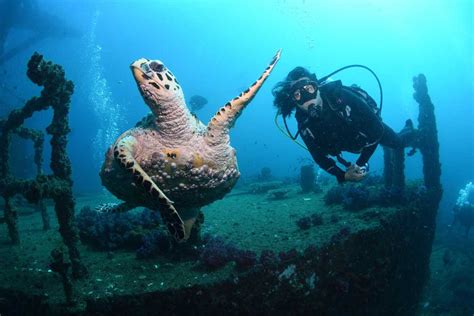Image result for HMAS Perth Wreck Dive