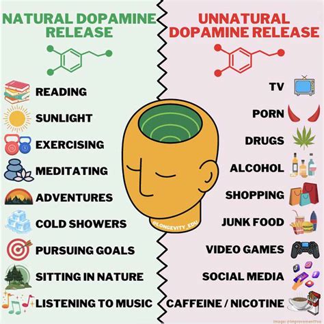 ‘Nature prescription’ can improve physical and mental health – Consumers Association Penang