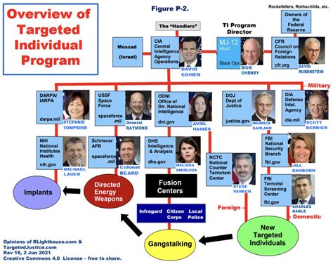 Targeted Individual Program 2020 的图像结果