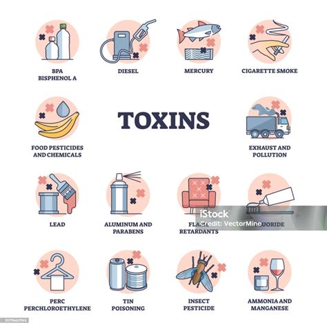 Toxins And Dangerous Chemical Substances For Human Health Outline Diagram Stock Illustration ...